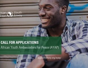 african youth ambassadors for peace program 2019 jobsandschools