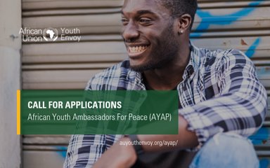 african youth ambassadors for peace program 2019 jobsandschools