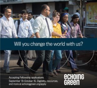 echoing green fellow jobsandschools