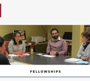 harvard university Nieman Berkman fellowship jobsandschools