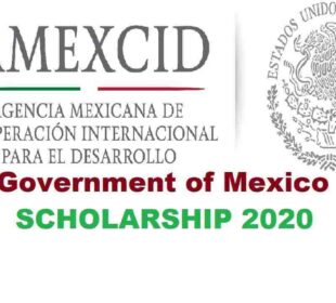 mexico scholarships jobsandschools