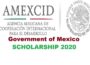 mexico scholarships jobsandschools