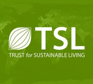 tsl essay competition jobsandschools