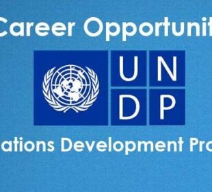 undp vacancies jobsandschools