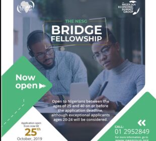 nesg bridge fellowship 2019 jobsandschools