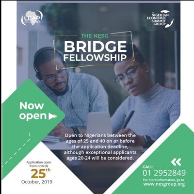 nesg bridge fellowship 2019 jobsandschools