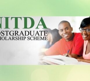 nitda scholarships 2019