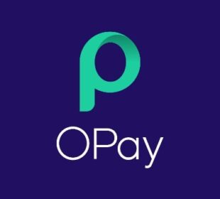 opay marketing mangers jobs