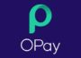 opay marketing mangers jobs