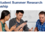 eth-summer-research-fellowship-2020 jobsandschools