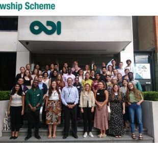 odi fellowship