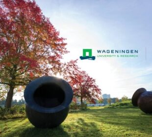 wageningen-university-and-research-scholarships jobsandschools