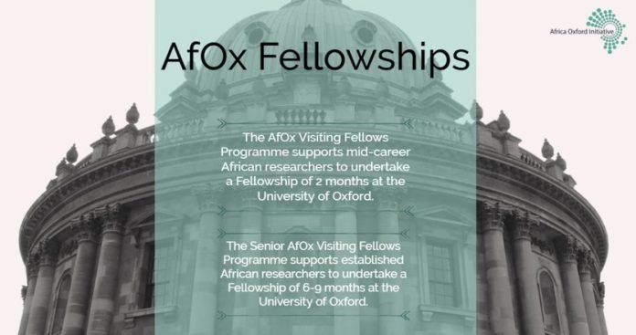 afox-fellowships-2020