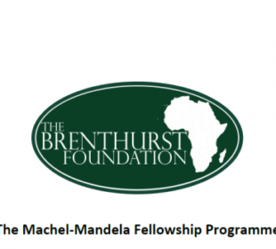 machel-mandela-fellowship-programme JOBSANDSCHOOLS