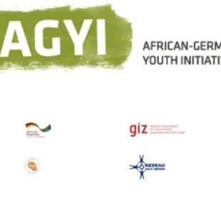 African-German Youth Initiative (AGYI) Innovation Fund 2020 (12000 Euros)