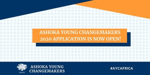 Ashoka Young Changemakers Programme 2020