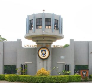 University-of-Ibadan jobsandschoolsdotcom