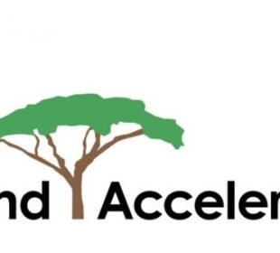 The Land Accelerator 2020 (Africa) Program for young African Entrepreneurs