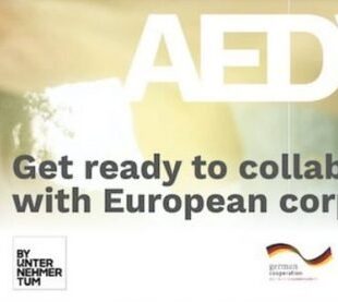 African European Digital Venture Program (AEDV)