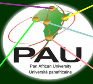 Pan African (African Union) University