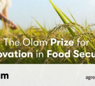 olam-prize-for-innovation-in-food-security